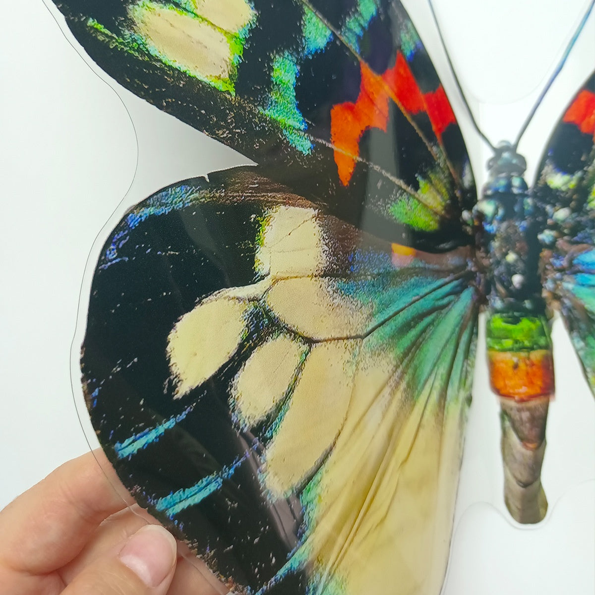 Creative Butterfly Wall Stickers – Modern Simplicity PVC Décor