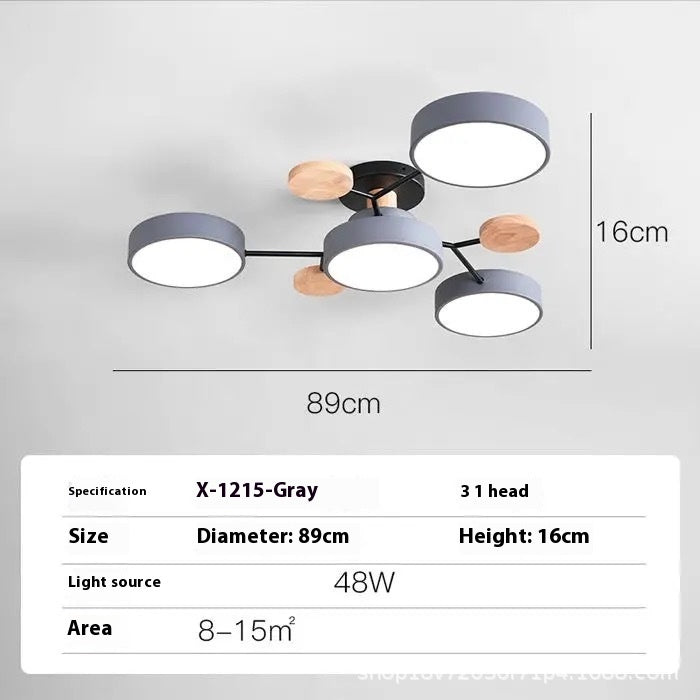 Modern Minimalist LED Ceiling Lamp – Creative Living Room Lighting