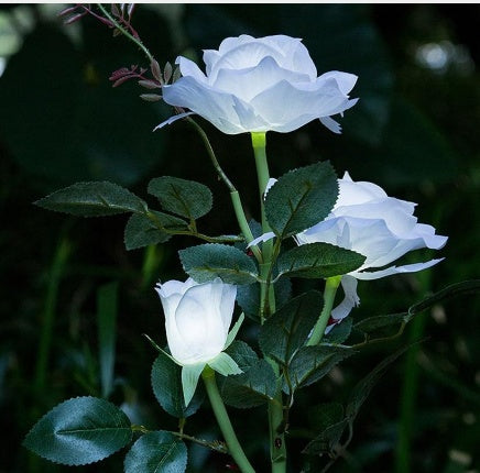 White Rose Lantern 3LED – Solar Powered Romantic Rose Lamp for Outdoor & Garden Decor