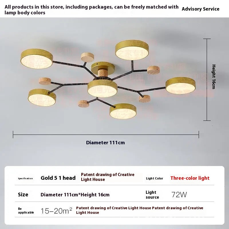 Modern Minimalist LED Ceiling Lamp – Creative Living Room Lighting