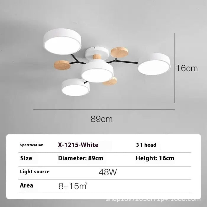 Modern Minimalist LED Ceiling Lamp – Creative Living Room Lighting